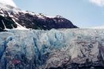 A picture of Exit Glacier, just north of downtown Seward.