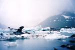 This is a picture of some of the glaciers floating around near the Portage Glacier visitor center.